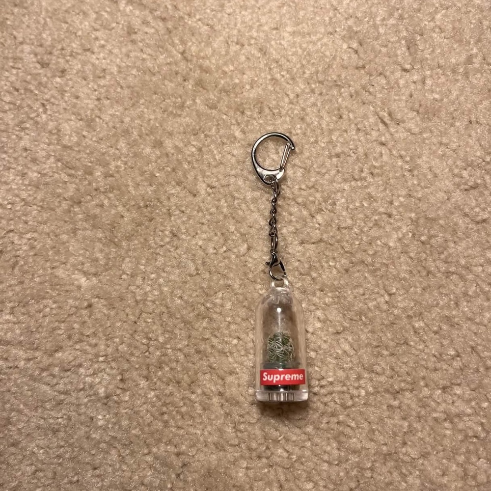 Supreme cactus Keychain/Bag Charm